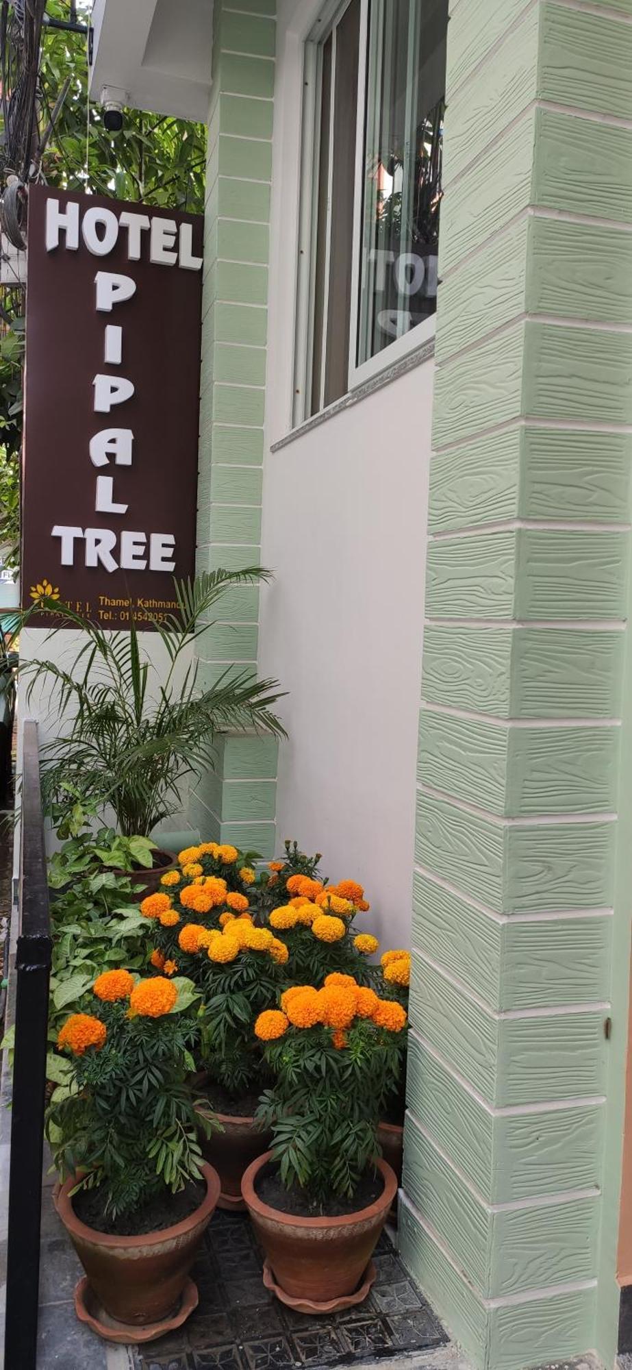 Hotel Pipal Tree Κατμαντού Εξωτερικό φωτογραφία